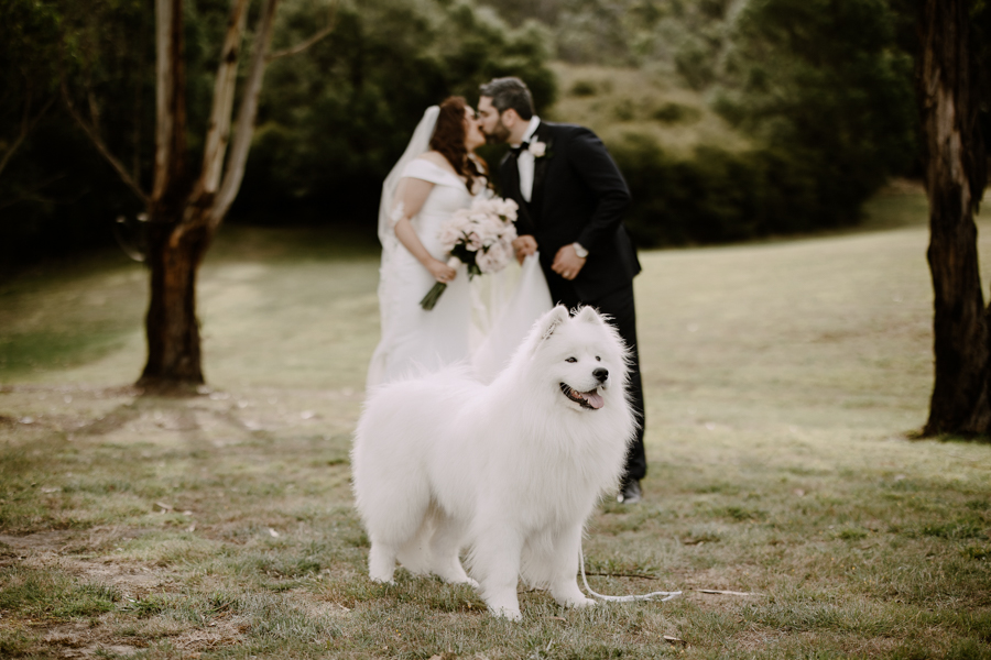 Melbourne wedding photography