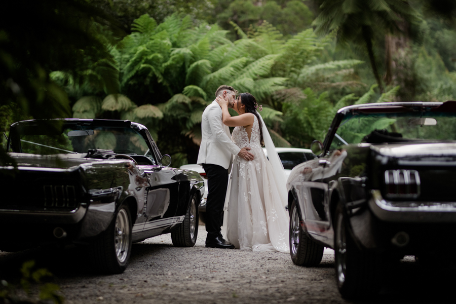 Lyrebird Falls