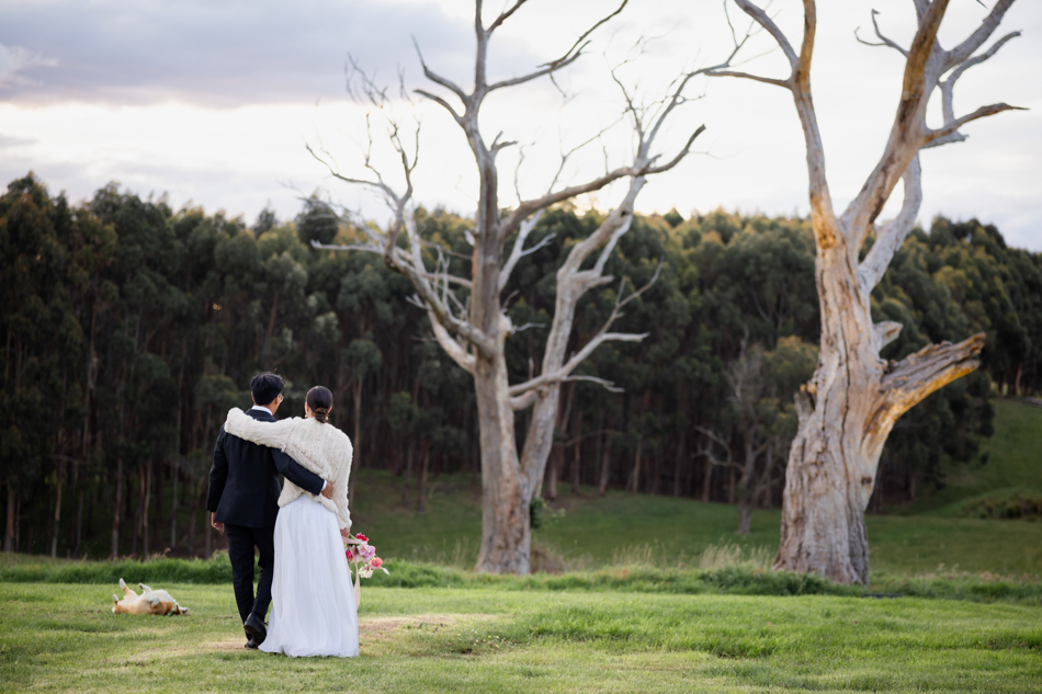 Melbourne Wedding, Melbourne Wedding Photography, Melbourne Wedding Venue, Melbourne Wedding Photographer